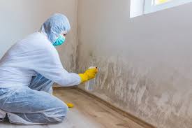 Mold Removal for HVAC Installations in South Hill, VA